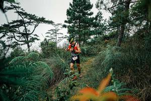 BIB: 
                            <button type="button" onclick="openModal(25257791)" class="btn btn-primary btn-sm float-right btn-popup" data-toggle="modal" data-target=".modal-high-quality">
                        <i class="fas fa-shopping-cart"></i> Add to Cart
                    </button>
                                            <button type="button" onclick="isThisMe(25257791, true)" class="btn btn-success btn-sm float-right btn-popup btn-isme hidden" data-toggle="tooltip" data-placement="bottom" title="นี่คือรูปของคุณใช่ไหม คลิกที่นี่เพื่อเอาเข้าอัลบั้ม">
                        <i class="fas fa-plus"></i> Add to album
                    </button>
                    <button type="button" onclick="isThisMe(25257791, false)" class="btn btn-warning btn-sm float-right btn-popup btn-isnotme hidden">
                        <i class="fas fa-ban"></i> Remove from album
                    </button>